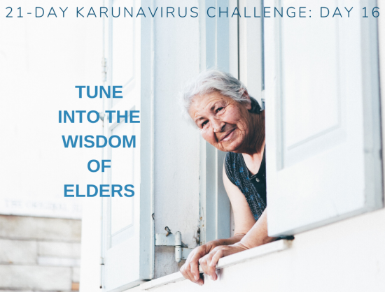 16: Tune Into The Wisdom Of Elders