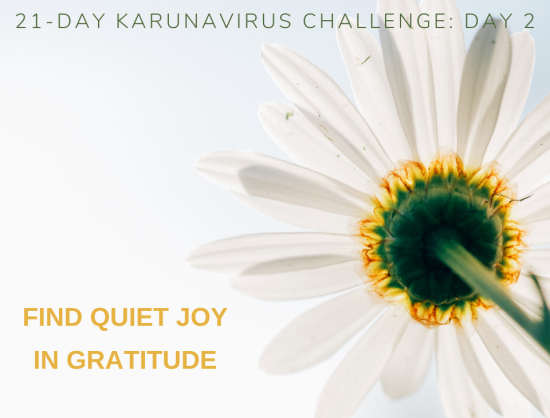 2: Find Quiet Joy In Gratitude