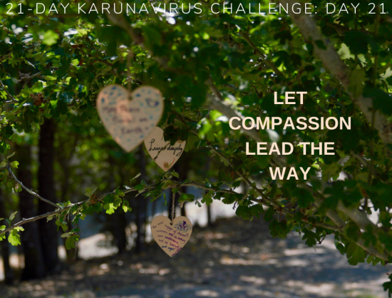 21: Let Compassion Lead The Way