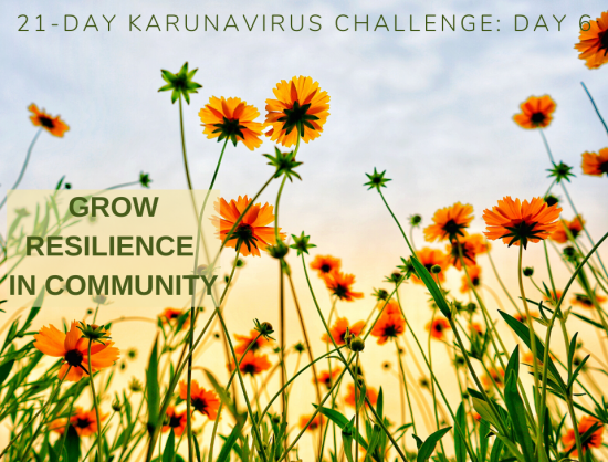 6: Grow Resilience In Community